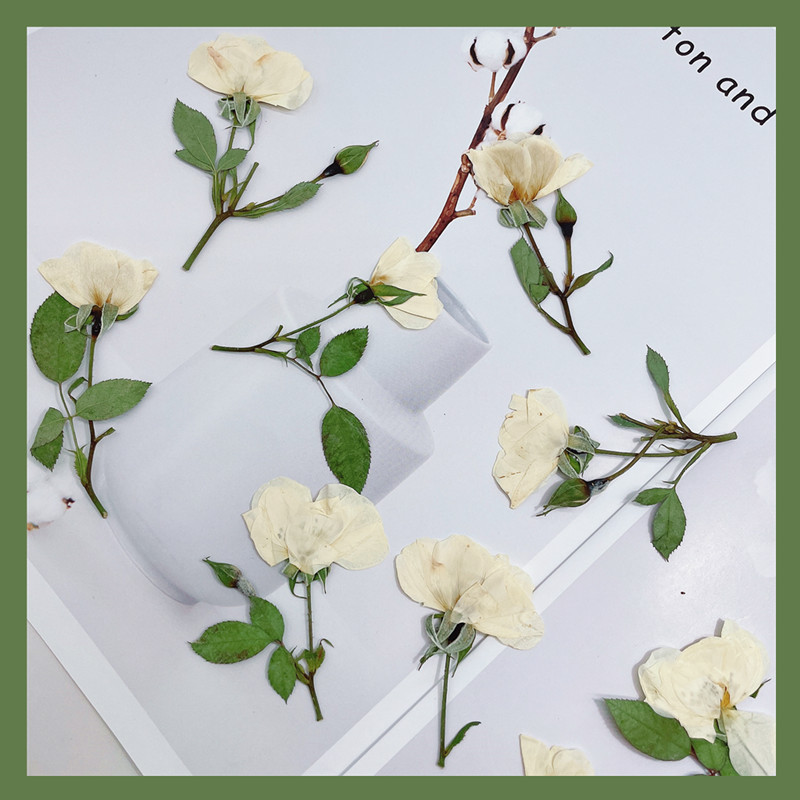 12 piezas, ramas de rosas natu - Wedding Card Box reseña y precio